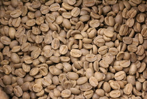 夏威夷-科納咖啡生豆-烘之豆現場技術教學如何烘豆選豆