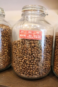 東非_中南美洲-義大利咖啡豆